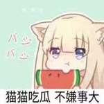 猫猫吃瓜
