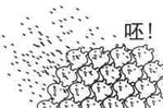 呸 呸